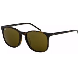 Ray-Ban Sunglasses RB 4387F 902/73 55 Tortoise | Brown Classic Lens